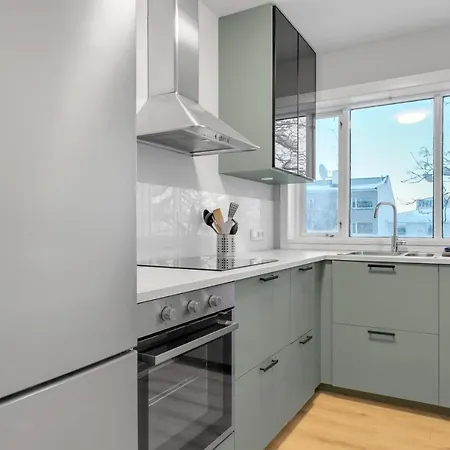 Cozy One-bedroom Reykjavik